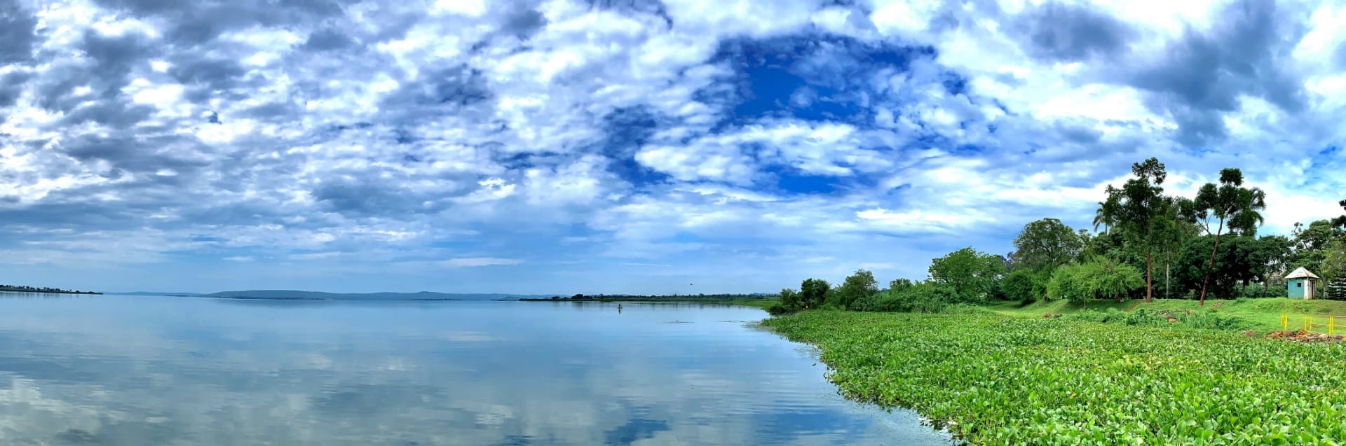 Kakira sugar fields